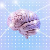 Cerveau